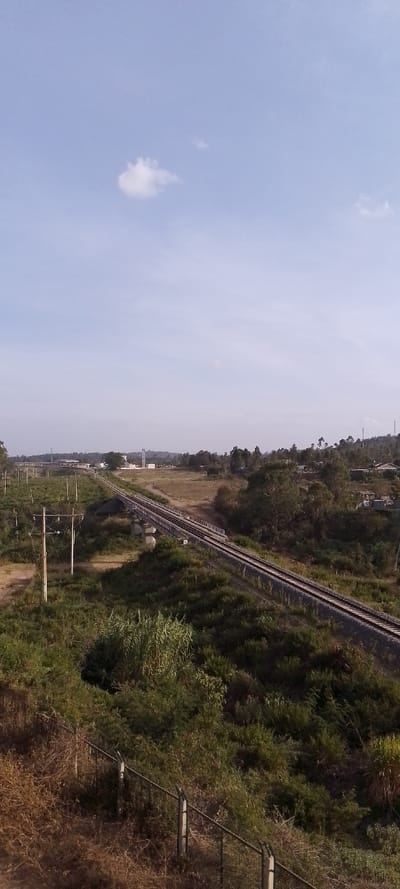 The image captures a wide outdoor landscape under a bright, clear sky. A significant portion of the upper frame is taken up by a light blue sky with a few sparse, wispy white clouds scattered across it. One more prominent, roughly circular cloud is visible in the upper left quadrant.

The mid-ground and foreground are dominated by diverse vegetation and a railway line. A single railway track runs diagonally across the scene, entering from the left-center and extending towards the right side of the frame, curving gently as it recedes into the distance. A section of the railway traverses an elevated concrete bridge or overpass, supported by multiple concrete piers. The track itself is laid on a bed of ballast stones.

Parallel to the railway line on the left side, several utility poles with visible wires stand, indicating electrical or communication infrastructure. The landscape immediately surrounding the tracks is covered in dense shrubbery and tall grasses, varying in color from lush green to dry, brownish-green, suggesting a mix of active growth and drier patches. In the bottom foreground, partially obscured by vegetation, a chain-link fence with concrete posts runs horizontally, separating the immediate viewpoint from the rest of the landscape.

In the distant background, to the left of the railway, several low-rise buildings are visible on a slightly elevated area, possibly part of an industrial or institutional complex. A tall, slender communication tower and a wider, possibly water storage tower are also discernible among these structures. Further to the right in the background, another cluster of buildings, possibly residential houses, is nestled among trees, indicating a small settlement. The horizon line is low and gently undulating, with distant trees and hills.

The overall impression is of a rural or semi-urban area, captured on a clear and sunny day, likely during the late morning or early afternoon, given the bright illumination and the faint shadows. There is no specific activity or event depicted; it is a static landscape scene.