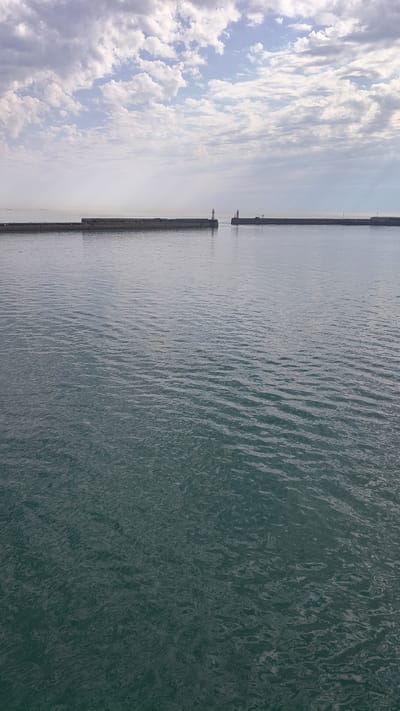 This image captures a view of the sea and the sky from a pier or jetty. The scene is divided vertically, with the left side dominated by a cloudy sky and the right side by the rippling surface of the water.
The sky features a mix of white and grey clouds, suggesting a partly cloudy or overcast day. The clouds are dispersed, with patches of blue sky visible between them. The overall lighting indicates it is daytime, likely morning or afternoon, with diffused sunlight.
The water is a deep greenish-blue, with visible waves and ripples creating texture on its surface. The light reflects off the water, highlighting the movement.
Running vertically through the image is a long, grey structure that appears to be a pier or breakwater. It extends into the distance, dividing the sea from the sky. Two small lighthouses or navigational markers are visible on this structure in the mid-distance. Beyond this structure, in the far distance, another larger ship or structure is barely visible.
The scene appears calm, with no people or specific activities readily discernible. The location context of Dover, United Kingdom, suggests this might be a view of the English Channel. The weather appears to be typical for a coastal environment. No visible text is present in the image.