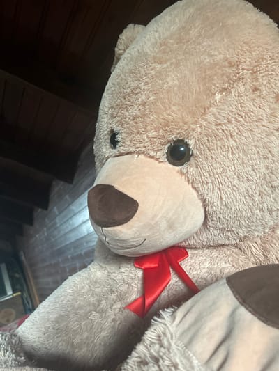 This is a close-up, low-angle, indoor shot of a large, fluffy, beige teddy bear. The bear's head is prominent in the frame, with one large black eye visible, along with its nose and mouth stitched with black thread. A bright red bow is tied around the bear's neck. The fur of the bear appears soft and plush. Behind the bear, the background consists of dark wooden planks, suggesting an interior setting like a room with wood paneling. The lighting is dim, casting shadows and highlighting the texture of the bear's fur. The orientation of the image is rotated.