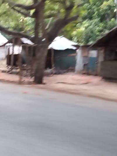 The image presents a blurry outdoor scene in Gombato Bongwe ward, Kenya, largely obscured by motion or focus blur. A gray, indistinct paved surface, consistent with a road or pathway, occupies the lower portion of the frame. Above this, a strip of reddish-brown earth extends horizontally. A large, dark-barked tree with numerous branches and heavily blurred green foliage stands prominently in the midground. To the left of the tree, a rudimentary structure with a light-colored, possibly corrugated metal, sloped roof is partially visible. Immediately to the right of the tree, another structure with a similar light-colored roof features a dark green or teal-colored wall section. Further to the right, a third structure is present, also with a light-colored roof and what appears to be a light blue door. The background is composed of heavily blurred green vegetation. No individuals, discernible actions, or interactions are visible.