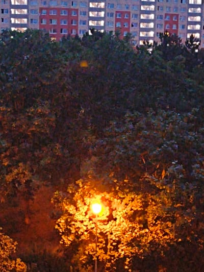 A photograph taken at dusk in the city of Most, Czechia, shows a residential building in the background and trees in the foreground. The building is light brown and cream-colored with rows of windows, some of which are lit from within, indicating occupancy. A section of the building facade is painted red. In the foreground, dense green foliage is illuminated by an orange street lamp. The street lamp is on a pole and its bright light casts a warm glow on the surrounding leaves, creating a somewhat blurry and impressionistic effect. The image captures a typical urban evening scene where nature and residential architecture are juxtaposed.