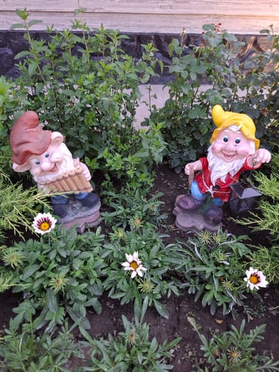In the city of Kara-Balta, Kyrgyzstan, two garden gnomes are positioned amongst lush green foliage and flowering plants. One gnome, on the left, wears a red conical hat and a tan tunic, holding a set of panpipes. The gnome on the right sports a yellow hat and a red jacket, holding a black lantern. Both gnomes stand on decorative bases within a garden bed. The background features a wooden fence and dark stonework. The foreground is filled with various green plants, including some with white and purple flowers.