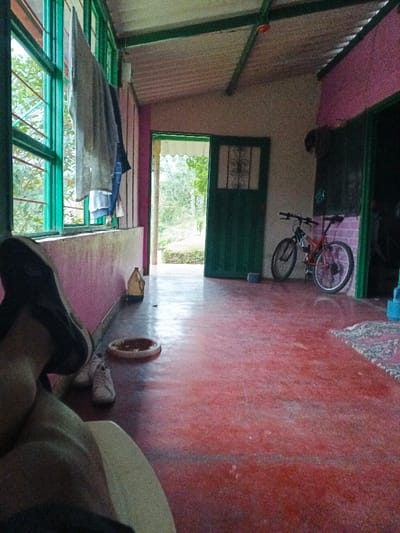 A room with a red floor has a bike against the right wall. An open green door shows a view of trees outside. A window with clothes hanging on it sits to the left. A pink wall is on the left, while a light tan wall is on the right. A dog dish and shoes sit on the floor near a large plastic container. The legs and foot of a person are in the foreground.