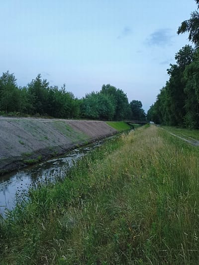 A rural scene depicts a narrow waterway, likely a canal, flanked by grassy banks and dense trees. The sky is overcast, with muted tones suggesting early morning or late evening light. The canal has calm water reflecting the sky and surrounding vegetation. On the left bank, a sloped area of exposed soil with some sparse grass leads up to a line of trees. The right bank is covered in tall, wild grass and a dirt path. In the distance, a small wooden bridge crosses the canal, and a sign is visible on the right bank near the bridge. The overall impression is one of a natural, undeveloped area.