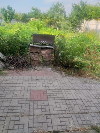 This image depicts an outdoor scene in the village of Potoky, Ukraine. In the foreground, a grey paved pathway is visible, with some patches of red pavers and dry grass growing between the stones. Behind the pathway, a barbecue grill sits atop a stone structure that appears to be made of rough-hewn, reddish-brown granite blocks. To the left of the barbecue, a pile of dry branches and twigs is stacked. The area surrounding the barbecue is densely overgrown with lush green vegetation, including leafy plants and tall grasses. In the background, trees and a light-colored, textured fence are visible. The sky above is a pale blue with some wispy clouds, suggesting it is daytime, likely late afternoon or early morning due to the soft lighting. There are no people or animals present in the scene.