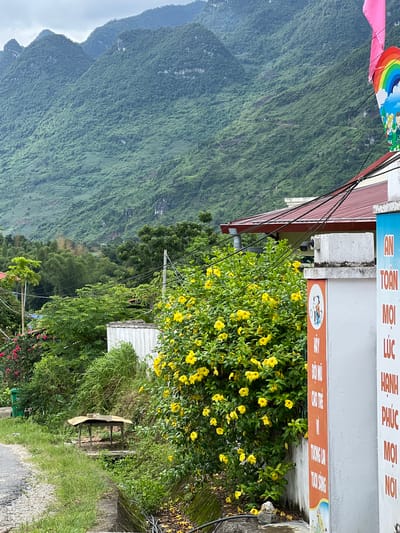 The image depicts a scene in Lùng Tám Commune, Vietnam, featuring a lush, green mountainside backdrop under an overcast sky. In the foreground, a bush of vibrant yellow flowers blooms profusely next to a white fence. On the fence, there are several vertical signs; one orange sign with Vietnamese text features circular emblems with graphics, and a white sign with more Vietnamese text in red lettering. Electrical wires are strung across the upper portion of the frame. To the left of the flowers, a small, rustic table with a corrugated roof sits by the side of a paved road. Beyond the table, a green trash can is visible, along with more vegetation and a glimpse of a building with a red roof. The overall impression is one of a rural, mountainous landscape with signs of human habitation.