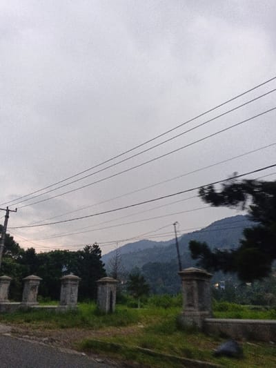 The image depicts an outdoor, rural to semi-rural scene in Phước Hòa, Vietnam, under an overcast sky. The top half of the frame is dominated by a uniform, light grey, cloudy sky horizontally traversed by approximately seven dark power lines. In the mid-ground, a range of dark blue-grey mountains, densely covered in vegetation, spans the horizon. Below the power lines and against the mountain backdrop, a line of dark green trees is visible.
In the foreground, a dark grey asphalt road occupies the lower-left corner. To its right, a strip of unkempt green and brown grass and weeds stretches across the lower portion of the image. Situated within this grassy area is a series of five distinct, weathered, light grey stone pillars, each with a decorative, wider capital. These pillars appear to form part of a low fence or boundary, running parallel to the road. A dark utility pole is partially visible on the far left, while another, thinner pole stands further right, slightly obscured by power lines and foliage. On the far right, blurred dark green foliage, indicative of motion, extends into the frame. No individuals or animals are present.