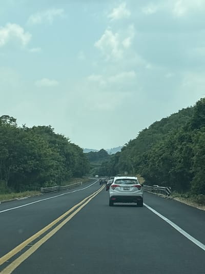 The image shows a view from inside a vehicle traveling on a two-lane road lined with dense green trees on both sides. The road has double yellow lines in the center and a white line on the right. Several cars are visible ahead, suggesting moderate traffic. The sky is cloudy and light blue. In the distance, rolling hills covered in vegetation can be seen. There are no discernible landmarks or signs that would indicate the location as Papatlarillo, Mexico, or any other specific city. The scene depicts a typical highway or rural road environment.