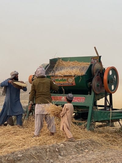 Three men are working with a thresher machine, likely harvesting grain. The man on the left, dressed in a blue robe and turban, holds a basket filled with grain. The man in the center, wearing a tan jacket and light trousers, is feeding the grain into the thresher. A young boy, wearing a tan outfit and a patterned cap, stands next to him, also holding grain. The thresher is green with an orange wheel, and straw is visible inside the machine. The ground is covered in scattered straw. The sky is overcast and dusty, suggesting an arid environment. The location is consistent with a rural agricultural setting in Alaqadari Daman, Afghanistan.