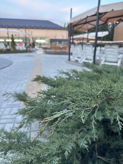 The image shows a tree branch with green leaves in the foreground, with a blurred background of a paved area, possibly a sidewalk or plaza. There are white lounge chairs under a canopy in the mid-ground, and a building is visible on the left side of the frame. The location is inferred to be Kara-Oy, Kyrgyzstan based on the prompt. There are no people visible in the image.