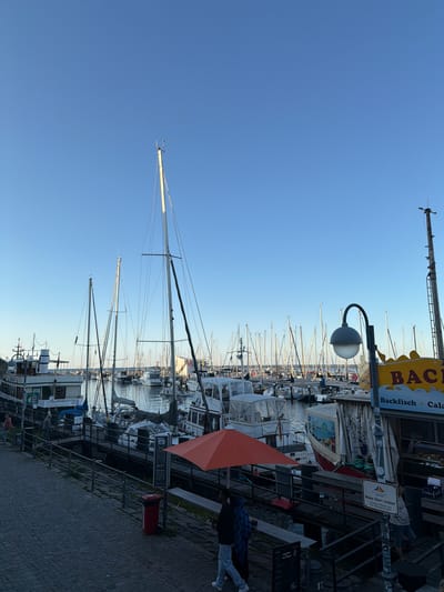This image depicts a harbor scene in Rostock, Germany, likely in the early evening or late afternoon, given the clear sky and soft lighting. Several sailboats and a larger vessel are docked in the water, their masts creating a dense forest against the blue sky. A cobblestone pathway runs along the foreground, leading to a pier where people are seen walking and interacting.
On the left side of the image, a large white boat with dark trim is prominently docked, featuring multiple decks and windows. A green sign with text is visible on its side. Further down the pier, an orange umbrella is set up, casting a shadow. A red trash bin is positioned near the pathway.
To the right, a yellow sign with blue lettering that appears to be a food vendor is visible, with text that includes "BACKFISCH" and "CALAMARI." A street lamp with a grey spherical shade curves over the pathway. People are scattered throughout the scene, some walking along the pier and others possibly near the boats. The overall atmosphere suggests a calm and picturesque maritime setting in Rostock.