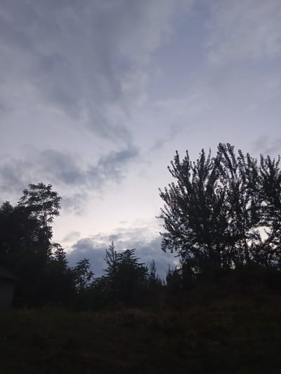 A dark, silhouetted landscape is depicted under a cloudy sky. The foreground is a dark, grassy hillside. In the mid-ground, a line of trees and foliage forms a dense, dark barrier. To the far left, a small portion of a building, possibly a house, is visible. The sky above is a mix of pale blue and gray clouds, suggesting either early morning or late evening. No people or animals are present. The overall impression is one of a rural or undeveloped area. The location in the city of Auk, Kyrgyzstan, cannot be determined from the image alone.