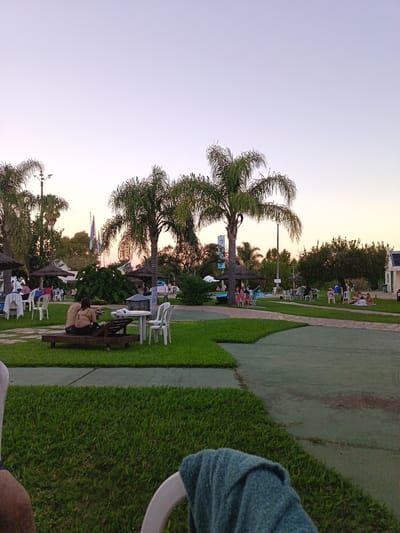 Outdoor scene in Termas del Daymán, Uruguay. A grassy park area with palm trees, picnic tables, and people is depicted. Some individuals are sunbathing, while others sit at tables. In the foreground, a chair and a blue towel are partially visible. The sky is light with a hint of pink, suggesting either dawn or dusk.