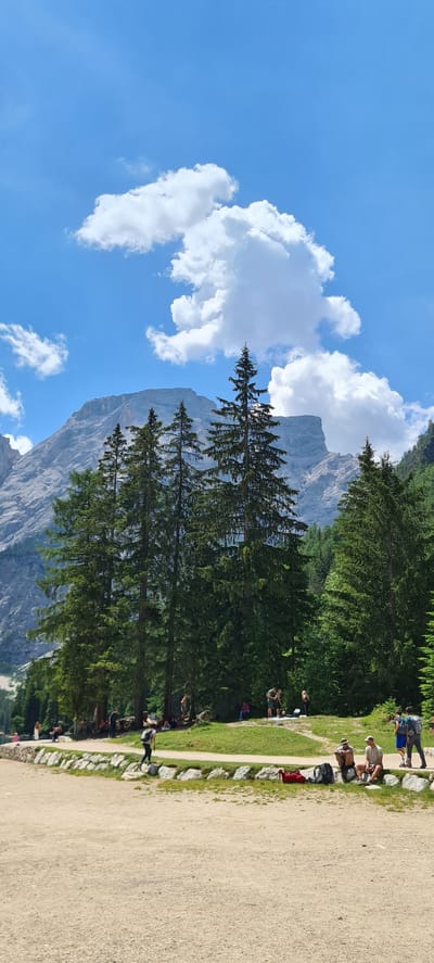 This is a vertical, eye-level, outdoor photograph taken in Prags - Braies, Italy. The image captures a mountain landscape with a bright blue sky dotted with fluffy white clouds. In the foreground, tall, dark green pine trees dominate the scene, with their branches reaching upwards. Behind the trees, a sheer, imposing grey mountain face rises, its rugged texture visible.

Along the right side of the image, a pathway of light-colored gravel runs parallel to a grassy area. On this grassy area, several people are scattered, some sitting, some standing, and some walking. They are dressed in casual, summer clothing, suggesting a warm, sunny day. The people appear to be enjoying the scenic view or taking a break.

The overall atmosphere of the image is serene and peaceful, evoking a sense of natural beauty and relaxation. The lighting suggests it is daytime, likely mid-morning or afternoon, given the bright sunlight. There is no visible text in the image. The location cues, such as the distinct mountain formation and the typical alpine vegetation, are consistent with the Prags - Braies region in Italy.