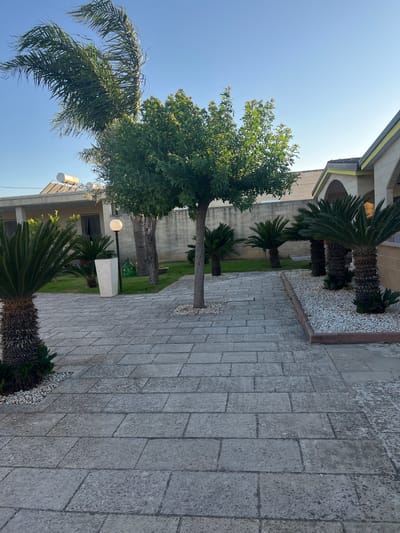 The image depicts an outdoor paved area with several plants and part of a building. A walkway made of large, rectangular grey stone slabs leads towards the viewer. To the left, a palm tree with a thick, rough trunk stands in a patch of grass, bordered by white gravel. Further back, a lighter-colored, medium-sized tree with green leaves occupies the center of the scene. Behind it, more sago palm-like plants are visible, some arranged in a bed of white gravel next to the building. The building on the right has a light-colored facade with arched openings and a yellow trim along the roofline. A portion of a solar water heater is visible on the roof of a lower building in the background on the left. The sky is clear and blue. The scene is a well-maintained outdoor space, likely a garden or courtyard, in Otranto, Italy.