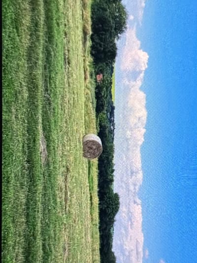 The image presents a peaceful rural landscape, likely near Wolverhampton, United Kingdom, under a bright blue sky with white clouds. The main subject in the middle ground is a large, round hay bale, centrally placed in a field of green grass. The grass in the foreground and middle ground appears recently mown, with visible patterns indicating agricultural activity.

In the background, a dense line of dark green trees and foliage stretches horizontally, forming a natural barrier between the field and the distant horizon. Beyond the tree line, patches of lighter green land and indistinct structures, possibly buildings of a village or hamlet, can be vaguely discerned.

The sky is a vivid, clear blue, occupying the upper third of the image. A band of fluffy, white cumulus clouds extends across the sky, positioned just above the distant tree line. The clouds are well-defined and bright, suggesting sunny weather.

The scene depicts a clear, bright day, likely midday or afternoon, given the strong illumination. The presence of the hay bale indicates that a harvest or cutting of hay has recently occurred. There are no people or explicit human activities visible. No text is present in the image.
