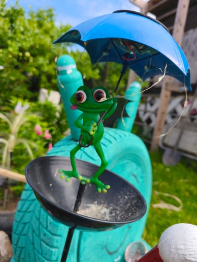 In Puchezh, Russia, a small, green, plastic frog figurine stands on a black dish. The frog holds a miniature blue umbrella, which is tilted open. The frog has large, bulging eyes with red rings and a pink tongue sticking out. It appears to be made of molded plastic and is mounted on a larger, teal-colored object that resembles a tire. The background is a blurred outdoor scene with green foliage and a bright blue sky. There are some indistinct objects in the background, including what appears to be a wooden structure. The overall impression is of a whimsical garden decoration.