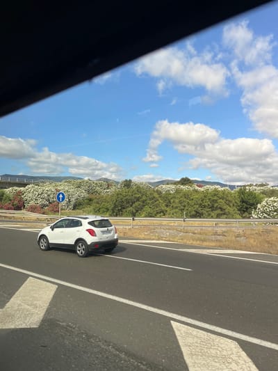 The image shows a white Opel Mokka driving on a highway in Los Barrios, Spain. The car is in the right lane, and there is a blue directional sign with a white arrow pointing forward. The background is filled with green trees and bushes, with white flowers blooming profusely. In the distance, there are hills and mountains. The sky is blue with scattered white clouds. The image appears to have been taken from another vehicle, as evidenced by the dark, angled frame in the upper left corner, which suggests a car window or interior. The highway has multiple lanes and is marked with white lines.