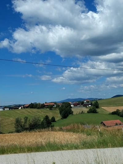 This is a full-frame, eye-level, vertical shot of a rural landscape on a sunny day. The sky, occupying the top third of the frame, is bright blue with scattered white and gray cumulus clouds. A thin black wire stretches horizontally across the upper portion of the sky. Below the sky, rolling green hills form the mid-ground, dotted with scattered trees and farmhouses with red-tiled roofs. In the foreground, a field of dry, golden-brown grass and wildflowers stretches across the bottom of the image, with a gray, textured surface, possibly a road or path, at the very bottom. The overall scene depicts a serene, agricultural setting in the Bavarian countryside near Röhrnbach, Germany, characterized by its hilly terrain, farms, and bright, cloudy sky.