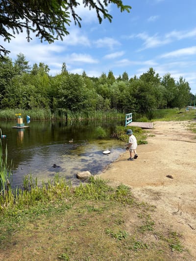 In the city of Kuldur, Russia, a young child wearing a patterned hat and a checkered shirt and shorts stands on a sandy embankment next to a tranquil body of water. The child is facing away from the camera, looking towards the water. Several ducks are swimming in the shallow, clear water near the edge. On the water, a small wooden platform with a colorful castle-like structure on it is visible. Behind the water, a dense line of green trees forms a natural backdrop. A wooden dock with blue and pink railings extends from the sandy bank into the water. The sky above is blue with scattered white clouds. The scene appears to be an outdoor recreational area, possibly a park or a nature reserve, featuring a pond with ducks and artificial attractions.