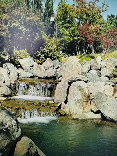 This is a medium shot of a man-made waterfall and pond. The waterfall cascades over a rocky ledge into a dark green pond. The surrounding environment is lush with various trees and greenery. A lamppost can be seen in the background. The scene appears to be a park or garden.
