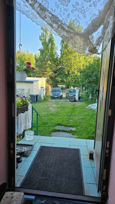 The image shows a view from inside a building, looking out through an open doorway. A lace curtain hangs on the left side of the doorway, obscuring part of the view. Outside, a grassy yard is visible, with trees and a clear blue sky suggesting it is daytime. There are two vehicles parked in the yard, a darker colored van and a lighter colored vehicle behind it. A light-colored building is visible on the left, with some potted plants. A doormat is placed on the tiled floor just outside the doorway. There are trash bins and a bucket visible in the yard, as well as some stepping stones leading away from the doorway. The overall scene suggests a residential backyard in a rural or suburban setting. There is no visible text in the image.