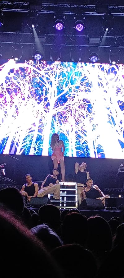 The image shows a concert stage in Cerdanyola del Vallès, Spain, likely an outdoor venue. The foreground is filled with the heads and shoulders of the audience. The stage features a large screen displaying a colorful graphic of white trees against a blue and purple background. On the stage itself, there are four men seated and one woman standing on a small platform. The men are wearing tank tops and pants, while the woman is wearing a short pink dress. Stage lighting is visible in the upper portion of the image.