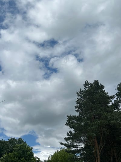 This is a vertical, outdoor, low-angle shot of the sky with trees in the foreground. The sky is a mix of white and grey clouds with patches of blue showing through. The clouds appear to be moving. In the lower right and lower left quadrants of the image, the tops of dark green coniferous trees are visible. The image appears to be taken in the Красненскі сельскі Савет, Belarus.