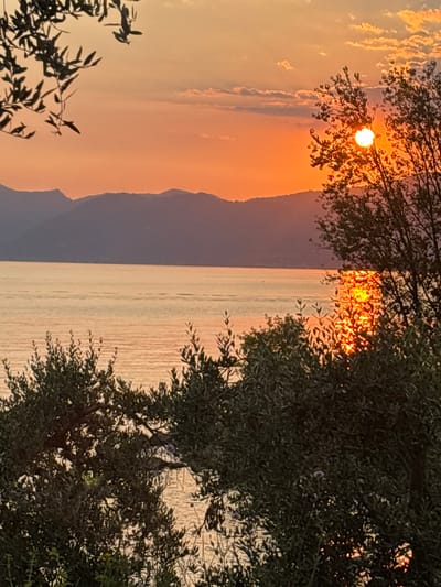 The image captures a sunset over Lake Garda, Italy. The sun, a bright orb, is partially obscured by the branches and leaves of olive trees in the foreground. Its light reflects intensely on the water, creating a shimmering golden path. In the background, a range of mountains forms a soft silhouette against the orange and pink hues of the sky. The overall scene is tranquil and picturesque, characteristic of the Lake Garda region.