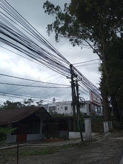 This image captures an urban street scene in Taohom, Laos, under a heavily overcast sky. The foreground is dominated by a complex network of numerous black electrical and communication cables strung between multiple utility poles, with one primary wooden pole positioned centrally. Small dark specks, indicative of debris or insects, are scattered across the cloudy sky.
To the right, a line of tall, leafy trees with dark green foliage borders the scene. On the left, a single-story building features a brown gabled tile roof, white walls, and a dark wooden front door. Attached to its right is an open-sided annex or patio structure with dark wooden slats and potted plants. A low concrete wall with two light-colored concrete pillars separates this building from a dark, paved road or path in the immediate foreground, which shows scattered debris.
In the mid-ground, behind the foreground building, a multi-story white building with several windows and balconies is visible. To its right, another building displays a prominent red-framed billboard. Further left in the background, a water tower or similar industrial structure is visible atop a building amidst more distant tree lines. No people are present in the scene, and no explicit actions or interactions are depicted.