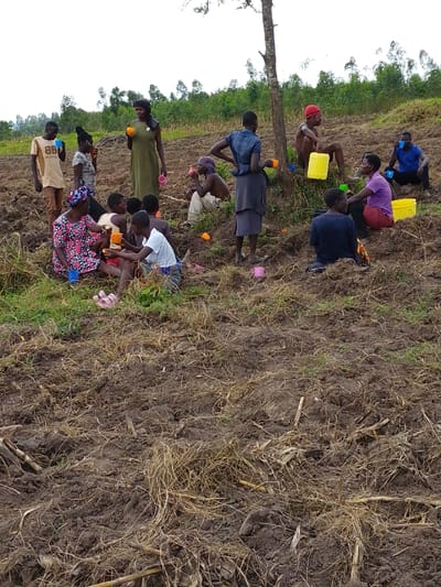 A group of people, mostly sitting, rest in a ploughed field. They hold cups and a few yellow buckets are present. The background includes a tree, and a treeline. The sky is overcast. The scene depicts a break, possibly during farming activities.