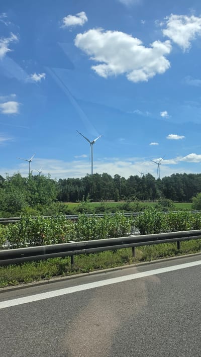 The image shows a view from a road, looking towards a field with several wind turbines. The wind turbines are tall and white with three blades, and they are set against a bright blue sky with white clouds. In the foreground, there is a guardrail and a white line marking the edge of the road. Behind the guardrail, there are green bushes and trees, with a field and more trees in the distance. The scene appears to be a rural or semi-rural area in the region of Calau, Germany.