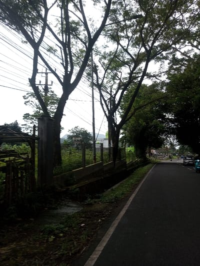 The scene depicts a roadside view in Kamji Na-Yekha, Bhutan, under an overcast sky. The primary elements include an asphalt road, dense vegetation, and utility infrastructure.
On the left, a weathered concrete pillar is partially obscured by dark foliage, adjacent to a dilapidated wooden framework or structure. A low concrete wall, topped with a wire mesh fence, extends into the midground, bordering a verdant, overgrown area. A concrete-lined drainage ditch runs parallel to the road, situated between the fence line and the asphalt, containing dark liquid or debris.
Multiple mature trees with dark, visible trunks and branches, some with sparse foliage, are silhouetted against the bright sky, lining the left side of the road. Numerous overhead power lines crisscross the upper frame, supported by at least two utility poles, one wooden with cross arms and one slender pole. In the mid-distance behind the fence and trees, a light-colored building featuring a green dome and a minaret-like structure is visible, alongside another adjacent building. A faint mountain outline appears in the far background.
The asphalt road, marked by a white solid line on its left edge, recedes towards the right, indicating a gentle curve. Dense green foliage forms a canopy over the right side of the road in the distance. Several vehicles, including cars and what appear to be scooters or motorcycles, are visible in the distance on the road. A light blue scooter or motorcycle is present on the far right in the immediate background. No individuals are clearly discernible.