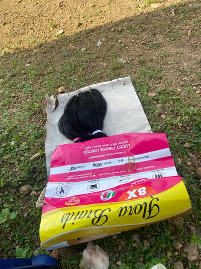 This media file depicts a close-up, slightly angled view of a package of "Flora Braids" hair extensions lying on the ground. The hair itself, which is black, is partially visible, bundled with white elastic bands. The packaging is predominantly pink and yellow, featuring large, stylized text that reads "Flora Braids."

Visible text on the packaging provides details such as "8X Synthetic Fibre," "PRE-STRETCHED," "EXTRA LIGHT," and "SOFT AND SHINY." There's also an "Important Notice" warning users "Do not expose to naked fire" and "Do not store for prolonged period in direct sunlight." Further information includes manufacturing details like "MFG DATE/BATCH NO.: 804-26," "Weight: 400g," and "Length: 60"." A "Customer Care" number, "08095999000," and factory details, "LUCKY FIBRES LIMITED, Factory: KM 5, Itokin Road, Lagos," are also legible. A small round logo with "Premium Quality Affordable PRICE" is also present.

The scene is set outdoors, with the packaging and hair resting on a mixture of soil and sparse green vegetation, suggesting a natural, possibly rural or undeveloped area. The lighting suggests it is daytime. There are no people visible in the image. The overall impression is one of commercial products left unattended in an outdoor environment.