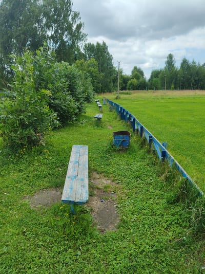 The image depicts an outdoor scene in the city of Drezna, Russia, likely a park or recreational area. In the foreground, a weathered, light blue wooden bench sits on a patch of bare earth surrounded by lush green grass and clover. To the left, a dense cluster of green bushes and trees forms a natural boundary.
A blue wooden fence runs along the right side of the frame, separating the grassy area from a sports field or open expanse of green lawn in the background. The fence is supported by posts and appears to be in a state of disrepair in some sections.
Several more light blue wooden benches are visible along the fence line, spaced out at intervals. Next to one of these benches, closer to the foreground, is a blue metal waste bin. The background is dominated by a large, open green field under a cloudy sky. Trees form a treeline in the distance, and there are also signs of lighting fixtures in the background, possibly for the sports field. The overall impression is of a somewhat neglected but functional outdoor space.