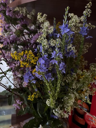A close-up, slightly blurry shot showcases a bouquet of wildflowers, predominantly in shades of purple, blue, yellow, and white, arranged in a clear glass vase. The flowers vary in size and shape, with some featuring delicate, clustered petals and others displaying larger, more prominent blooms. The backdrop is dimly lit and appears to be an indoor setting, with a wooden shelf or surface visible at the top and a dark, textured wall behind. A hint of a red object, possibly a bottle or packaging with text that might read "MARTINI," is present in the lower right corner, suggesting a home or decorative setting. The overall impression is one of rustic beauty and natural arrangement. The location of Субханкулово, Russia, is not discernible from the visual elements within the image.