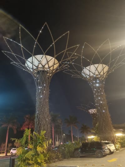 Two illuminated, tree-like art installations stand tall against a dark night sky in Araçariguama, Brazil. The installations feature intricate, woven cylindrical bases wrapped in a network of fine lights, topped with wide, petal-shaped structures. These structures, also outlined with lights, enclose large, white, bowl-shaped elements. Surrounding the art installations are palm trees and dense green foliage. In the foreground, two cars are parked: a dark SUV on the left and a lighter-colored SUV on the right. The ground is paved, and yellow parking markers are visible. The overall scene is an outdoor urban environment at night, illuminated by artificial lighting from the installations and streetlights.