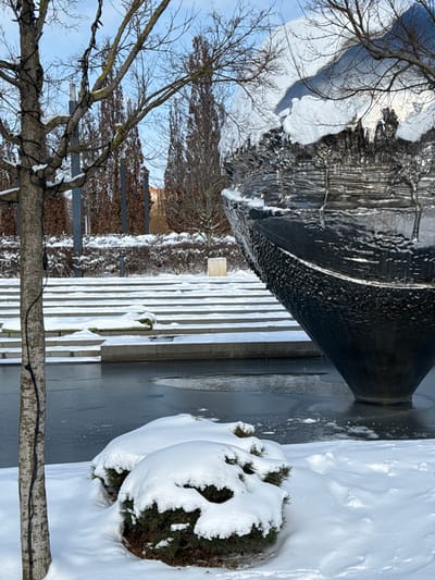 The image presents a snow-covered urban environment in Plodorodny, Russia, under a clear, light blue sky. In the foreground, two snow-laden evergreen shrubs are situated on snow-covered ground. To the left, a bare deciduous tree with light-colored bark, wrapped with dark string lights, partially obstructs the view. The midground features a body of water, partially frozen with ice visible on its surface. A large, dark, metallic sculpture, conical at its base and featuring a textured, rippled surface, emerges from the water on the right. The sculpture's upper portion is covered in a significant accumulation of snow and ice. Behind the water, a series of wide, snow-covered concrete or stone steps ascend diagonally. The background contains a sparse arrangement of bare deciduous trees and shrubs on snow-covered terrain, followed by a dense row of tall, slender, leafless trees. Dark vertical poles are interspersed among these trees. A light-colored building is faintly visible in the distant background. No individuals, animals, or vehicles are present in the scene.