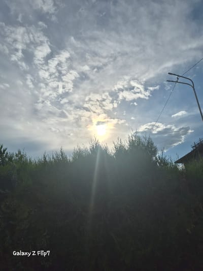 The image captures a cloudy sky with the sun partially visible behind the clouds, creating a lens flare effect. The sun is positioned in the upper center of the frame. Below the sky, a dense row of dark green evergreen trees forms a horizontal band across the lower half of the image. The trees are silhouetted against the brighter sky, with their foliage creating a textured, dark mass. In the upper right quadrant of the image, a street light on a pole with attached wires extends upwards against the sky. To the far right, a portion of a building or structure with railings is visible above the treeline. The bottom left corner of the image contains a watermark that reads "Galaxy Z Flip7". The overall scene suggests an outdoor setting, possibly a park or residential area, in Aidemir, Bulgaria.