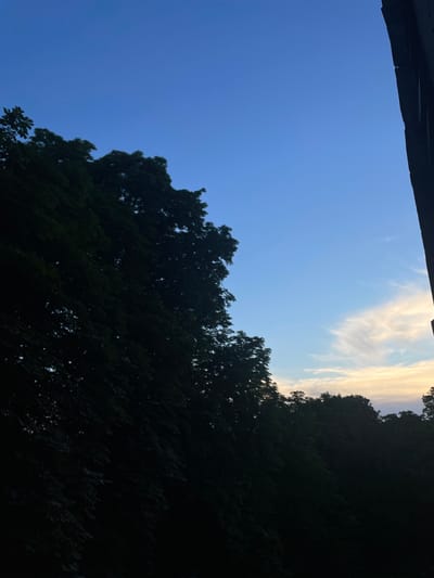 The image shows a view of the sky at dusk, with silhouetted trees in the foreground. The sky is a gradient of deep blue to lighter blue with some wispy clouds. On the right side of the image, a dark, vertical structure, possibly a building, is partially visible. The trees on the left and across the bottom of the frame are very dark, suggesting they are backlit by the fading light. No people or specific identifiable landmarks are visible. The scene appears to be an outdoor view, possibly from a window or balcony, overlooking trees and the sky. The location is specified as Bornheim, Germany.