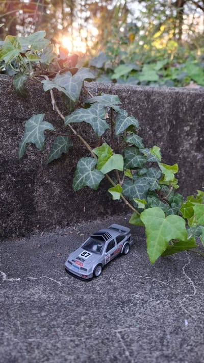 A gray toy car, bearing the number 87 and "Castrol" branding, rests on a concrete surface. The surface is also adorned with ivy, and sunlight filters through foliage in the background. The location, Podbadac, Montenegro, is not inferable from the image.