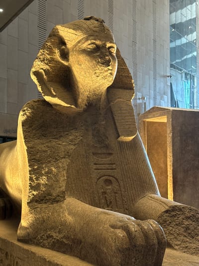 This is a close-up, low-angle shot of a large, ancient Egyptian statue, likely a pharaoh, carved from stone. The statue is massive, with intricate hieroglyphs visible on its chest and arms. The head of the statue is tilted upwards, and its features, though worn by time, are discernible. The statue is lit from the side, creating strong shadows and highlighting the texture of the stone. In the background, modern architecture is visible, suggesting the statue is housed in a museum or is a contemporary display in an archaeological setting. The scene appears to be indoors, with the lighting indicating it could be daytime. There is visible text in Arabic script on the lower right side of the statue. The overall impression is one of grandeur and the passage of time.