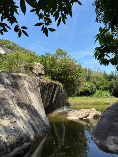 This photograph captures a serene natural scene, likely within the vicinity of Hoa Thang Ward, Vietnam, given the lush vegetation and rock formations. In the foreground, large, rough-textured grey rocks dominate the left side of the frame, partially obscuring a body of calm, greenish water that reflects the surrounding environment. A small waterfall cascades down a dark, wet rock face on the left edge of the water.

Beyond the water, a vibrant green grassy bank leads to a densely vegetated hillside. Numerous trees and bushes, some with clusters of bright pink flowers, create a rich tapestry of green and floral accents. In the background, a steep, rocky hill covered in trees rises towards a clear blue sky dotted with a few wispy white clouds. The sunlight casts distinct shadows on the rocks in the foreground, indicating a bright, sunny day. No people or animals are visible in the image. The overall impression is one of a tranquil, untouched natural landscape.