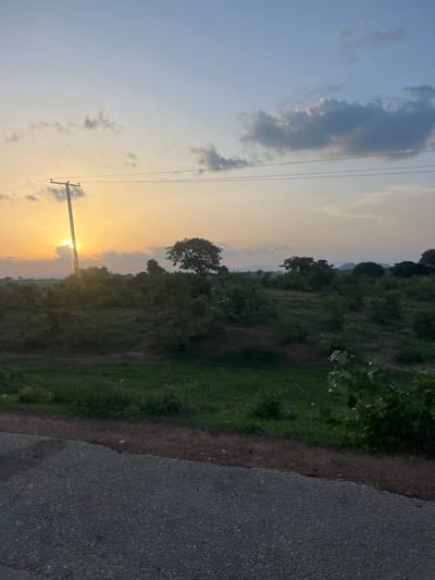 The image captures a rural or semi-rural landscape at either sunrise or sunset. A bright, low-angled sun is positioned on the left side of the frame, partially obscured by a dark utility pole and a small cloud. The sky around the sun displays a warm gradient of yellow and orange, transitioning to a lighter blue-grey further overhead, with scattered grey clouds, some wispy and others more substantial, visible primarily in the upper right portion of the sky.
In the immediate foreground, a dark, textured asphalt road occupies the bottom section of the image, bordered by a reddish-brown dirt or gravel shoulder. Beyond this shoulder, a strip of green grass and smaller plants extends.
The midground is characterized by dense green foliage, comprising numerous bushes and small trees, interspersed with patches of visible earthy ground. A prominent, larger dark green tree with a full canopy stands silhouetted against the brighter sky on the right side of the midground. The aforementioned utility pole, dark and vertically oriented, is a central feature on the left, supporting at least three taut horizontal power lines that traverse the upper-mid section of the frame.
In the distant background, hazy, layered silhouettes of blue-grey hills or mountains suggest an undulating terrain. No people, animals, or specific architectural structures beyond the utility infrastructure are visible in the scene. The image provides no visual information to confirm the location as Rinjim Gani, Nigeria.