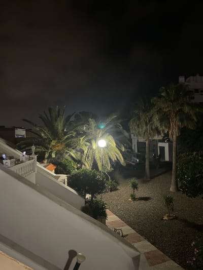 A night view reveals the urban landscape of Roquetas de Mar, Spain, from an elevated perspective. A white building with a balcony dominates the right side of the frame, featuring a beige-tiled walkway. A street lamp illuminates the palm trees in the vicinity, casting light on the adjacent ground cover and surrounding greenery. The backdrop includes other buildings, some partially visible. The overall scene suggests a quiet, residential area at night.