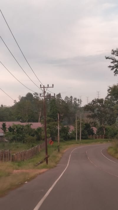 The image depicts a quiet, winding asphalt road traversing a green, semi-rural landscape under an overcast sky. The road, featuring a solid white line on the left and a dashed white line further along its curve, appears to be a two-lane path or a single lane with a shoulder.
Prominently in the foreground, an electrical utility pole stands to the left of the road, supporting several overhead power lines that stretch across the upper part of the frame. Attached to this pole is a small, diamond-shaped orange road sign with a black curved arrow pointing to the right, indicating a turn ahead. To the left of the road, a wooden fence runs along a grassy verge, behind which residential structures with reddish-brown roofs are partially visible through dense foliage.
The background is dominated by lush, forested hills or mountains. On the distant horizon, several large electricity pylons (transmission towers) are visible atop a hill, suggesting power infrastructure extends through the region. The sky is uniformly light grey and overcast, providing soft, diffused light without strong shadows, indicating an early morning, late afternoon, or a generally cloudy day. No people or vehicles are present, contributing to a sense of tranquility and solitude. The setting reflects a blend of natural environment and developing infrastructure, typical of a rural area like Lamtamot, Indonesia.