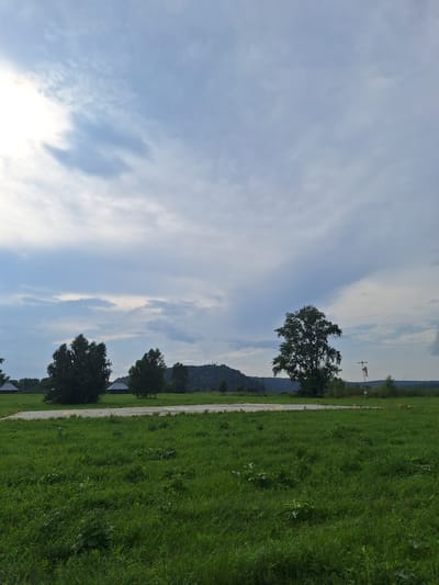 An outdoor, wide shot captures a vast, grassy field under a cloudy sky. In the foreground, the field is lush and green, with scattered weeds and some patches of taller grass. A paved surface, possibly a road or runway, traverses the middle ground, marked with yellow cones and markings. Several trees are dotted across the landscape. To the left, a cluster of trees stands near a few small, dark-roofed buildings. In the center, a larger, more prominent tree is visible, and further to the right, a single, large tree dominates the frame. Beyond the field and trees, a tree-covered hill rises in the background on the left, while the right side features a more distant, lower tree line. A windsock is prominently displayed on a pole in the right-middle ground. The sky is a mix of light and dark clouds, with a bright patch of light on the left indicating diffused sunlight. The scene appears to be a rural or semi-rural area, possibly near an airfield, given the presence of the paved surface and windsock. The location is identified as Atamanovka, Russia. There are no people or animals visible in the image.