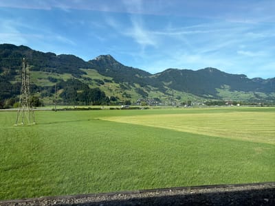 An expansive, sunlit landscape stretches across the frame, dominated by lush green fields. The foreground features a dark wooden beam with a scattering of gravel beneath it, suggesting a railway track. Beyond this, a vast expanse of vibrant green grass unfolds, divided by a subtle line into two sections. To the left, a tall, lattice-style electrical tower stands prominently. In the mid-ground, a road or pathway is visible, with a line of trees and a scattering of buildings forming a distant settlement. The background is defined by rolling, tree-covered hills and mountains under a bright blue sky dotted with thin, wispy clouds. The overall scene depicts a serene rural environment, likely in or around the Swiss town of Steinen, known for its picturesque agricultural landscapes and proximity to mountainous terrain.