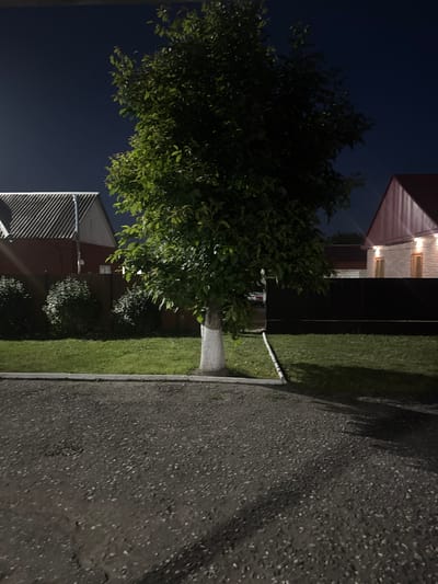 The image depicts a dimly lit outdoor scene at night, likely in a rural or suburban setting in Znamenskoye, Russia. The foreground is dominated by a dark asphalt surface, with shadows suggesting overhead foliage. To the left, a substantial tree with lush green leaves is illuminated from an unseen source, casting a warm glow.
Behind the tree, a building with a red roof and corrugated siding is visible, with several lights illuminating its facade. Adjacent to the building is a well-maintained lawn. Further in the background, another building with a similar red roof and siding is partially visible, suggesting a residential or agricultural property.
The atmosphere is tranquil and still, with no discernible activity or people present. The time of day is clearly night, as indicated by the dark sky and artificial lighting. The weather appears calm, with no signs of rain or strong winds. The combination of the buildings, the tree, and the lawn creates a sense of a peaceful evening in a residential area. There is no visible text in the image.