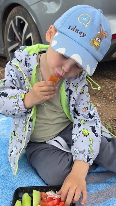 In the village of Darino, Russia, a young boy wearing a blue baseball cap and a dinosaur-themed jacket is sitting on a blue blanket, eating a popsicle. He is holding the popsicle in his right hand and has it in his mouth. In front of him is a black plastic container with cut vegetables, including tomatoes and cucumbers, and some meat. A gray car is visible in the background. The ground appears to be dirt and gravel.